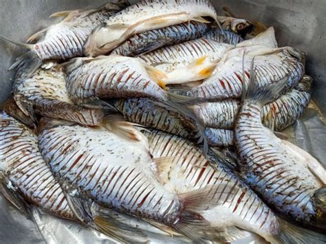 Barb's Pickled Fish .